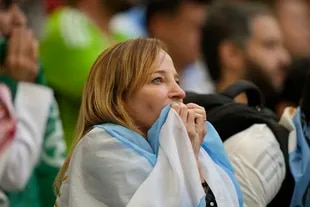 Argentine fans in the match against Saudi Arabia